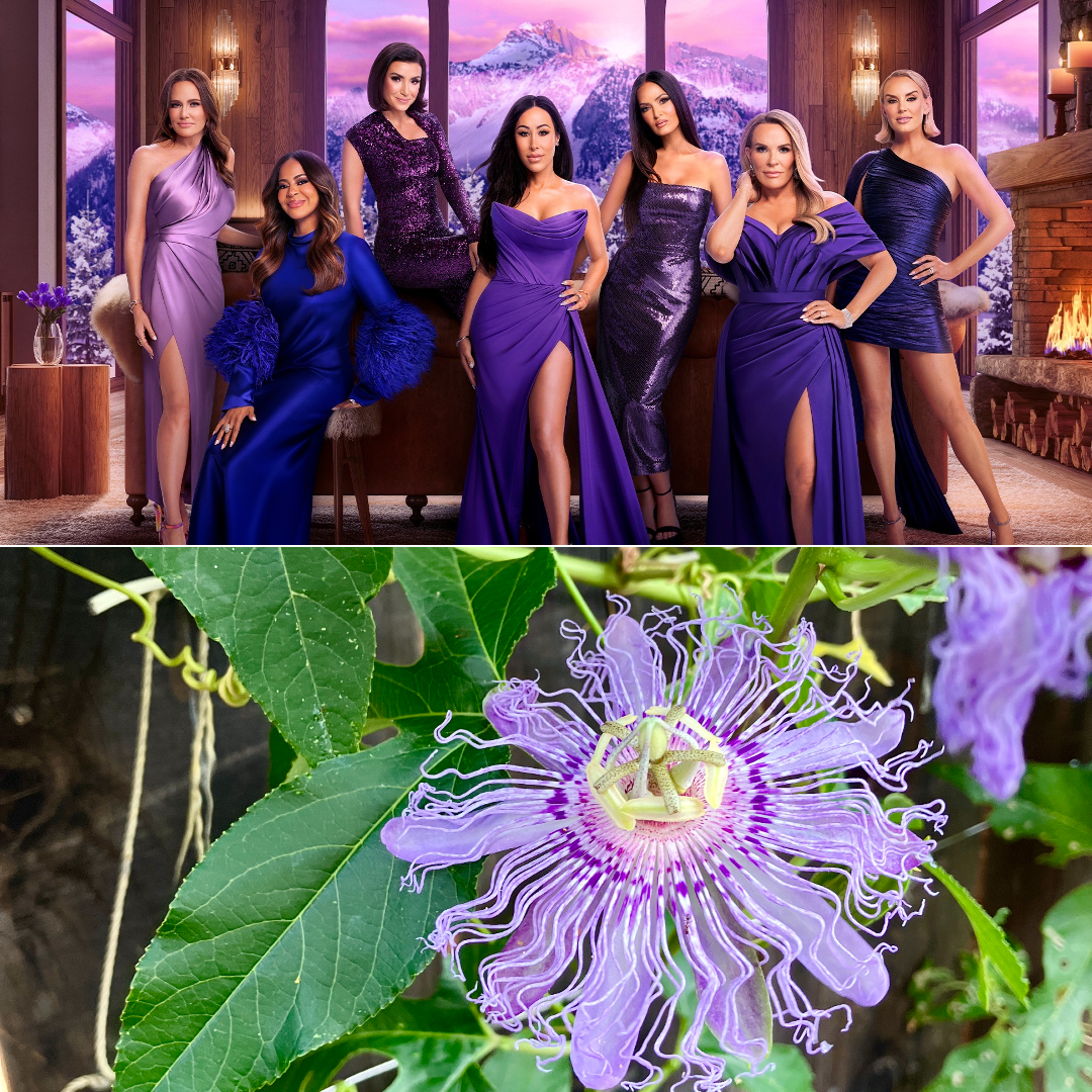 Real Housewives of Salt Lake City and Passionflower